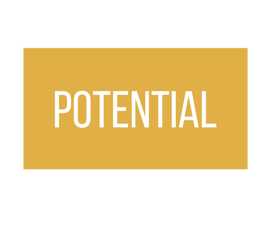 potential - Leadership Resources